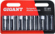 фото Батарейка Gigant GBA-2A-12