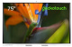 фото Интерактивный комплекс  Geckotouch 75RK в Воронеже