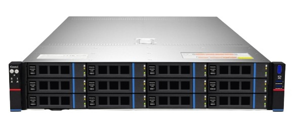 фото Серверная платформа 2U Gooxi ASR201-S12R-NV в Челябинске
