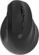 фото Мышь Wireless Oklick 688MW ERGO в Санкт-Петербургe