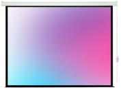 фото Экран  Lumien LEC-100119