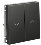 фото Выключатель двухклавишный Systeme Electric GAL001419S