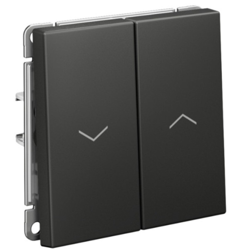 фото Выключатель двухклавишный  Systeme Electric GAL001419S в Красноярске