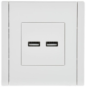 фото Розетка USB IEK FP-U21-D31-K01