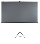 фото Экран  Lumien LSC-100101