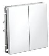 фото Выключатель двухклавишный  Systeme Electric GAL001317S