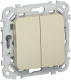 фото Выключатель двухклавишный  IEK FI-V20-0-10-1-K37