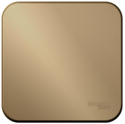 фото Выключатель Systeme Electric BLNCA101014