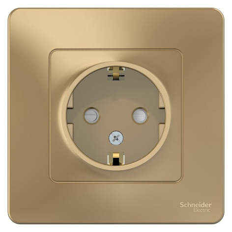 фото Розетка  Systeme Electric BLNRS001114 в Екатеринбурге
