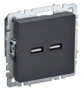 фото Розетка USB IEK BR-U21-D31-K53