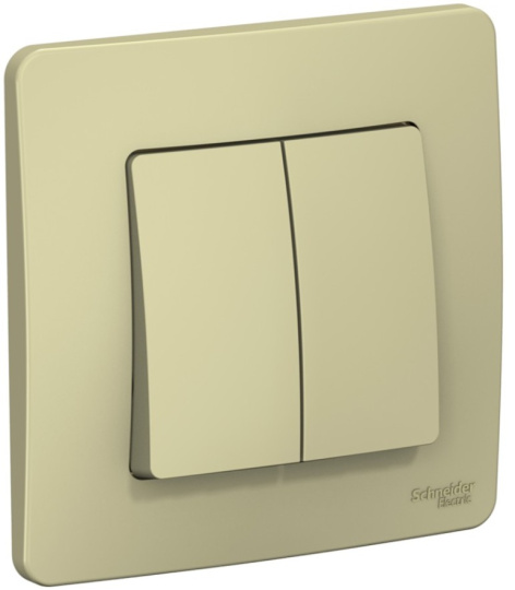 Изображение товара Двухклавишный выключатель Systeme Electric BLNVS010507 бежевый