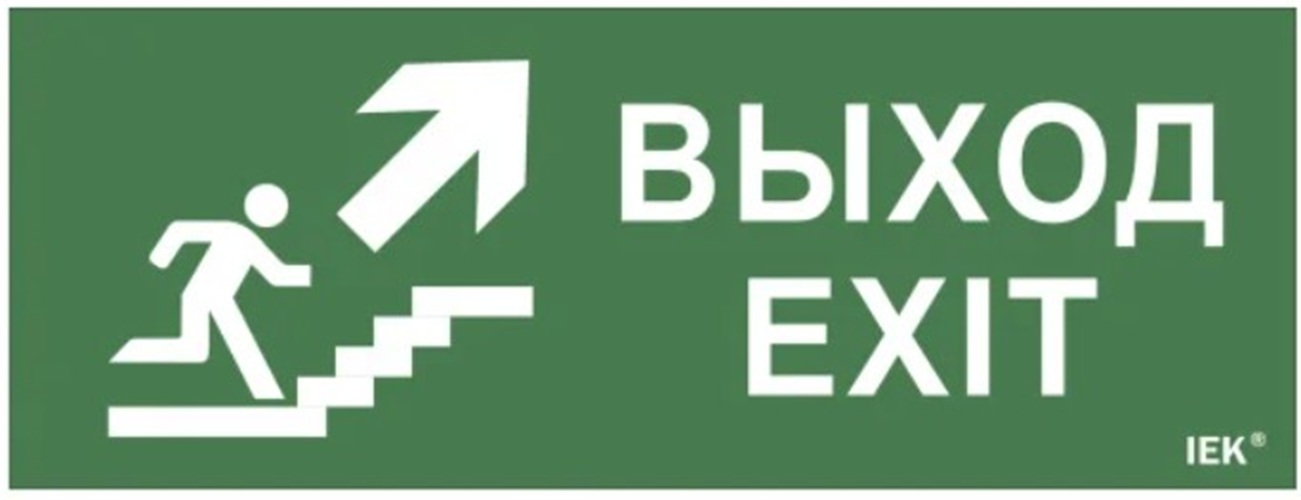 Знак наклейка IEK LPC10-1-35-13-VLVVF 350х130мм "Выход/лест.вверх/фигура"