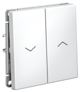 фото Выключатель двухклавишный Systeme Electric GAL000119S