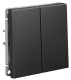 фото Выключатель двухклавишный  Systeme Electric GAL001451S в Красноярске