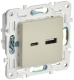 фото Розетка USB  IEK SK-U22-D31-K10 в Санкт-Петербургe