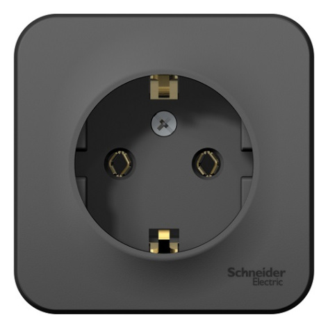 фото Розетка  Schneider Electric BLNRA010116 в Челябинске