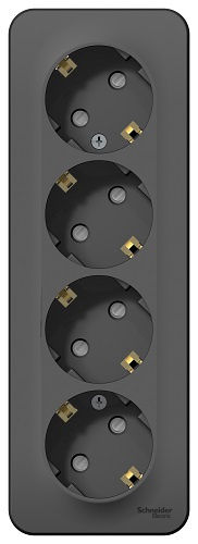 фото Розетка  Systeme Electric BLNRA011416 в Екатеринбурге