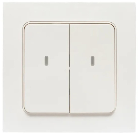 фото Выключатель умный EKF RCV-ST2-WD-ZB в Уфе