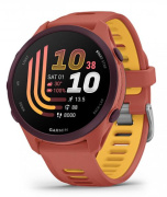 фото Часы  Garmin Forerunner 170
