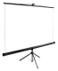 фото Экран  Cactus CS-PSTE-160X160-BK