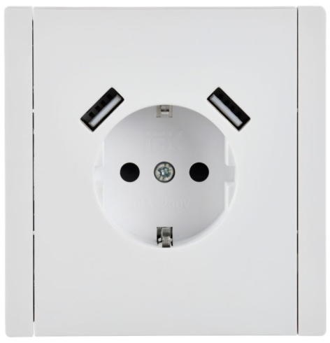 фото Розетка с заземлением с 2 USB  IEK FP-R14-16-U21-D31-K01 в Волгограде