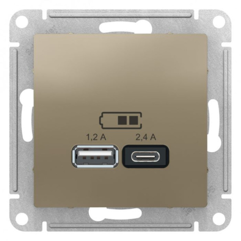 фото Розетка USB  Systeme Electric ATN000539 в Перми