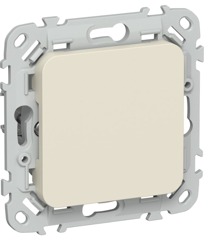 

Заглушка IEK FI-PL10-K86 FLITE с суппортом ЗГ-ФлСл сливочный, FI-PL10-K86