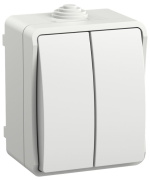 фото Выключатель двухклавишный  IEK EVS20-K01-10-54-DC