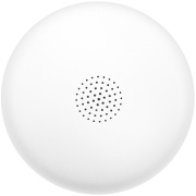 фото Датчик Болид С2000Р-ДЗ исп.01