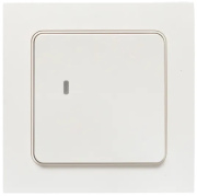 фото Выключатель EKF RCV-ST1-WS-ZB