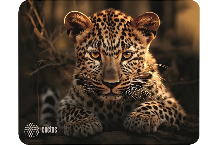 

Коврик для мыши Cactus CS-MP-D06S Leopard 250x200x3мм, CS-MP-D06S