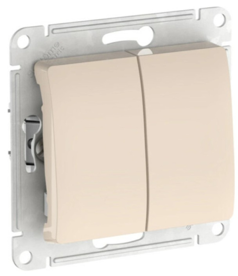 фото Выключатель двухклавишный  Systeme Electric GSL000251S в Красноярске