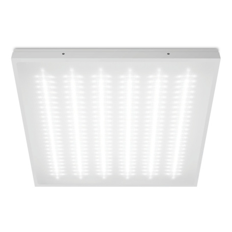 Изображение товара Светильник светодиодный WOLTA STD ДВО13-54-002-6К