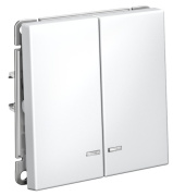 фото Выключатель двухклавишный с подсветкой Systeme Electric GAL000153S