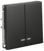 фото Выключатель двухклавишный с подсветкой Systeme Electric GAL001453S