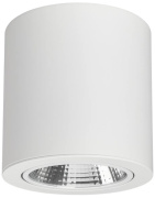 фото Светильник Arlight SP-FOCUS-R140-30W Day White