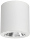 фото Светильник  Arlight SP-FOCUS-R140-30W Day White в Казани
