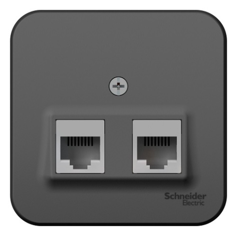 фото Розетка  Systeme Electric BLNIA045456 в Екатеринбурге