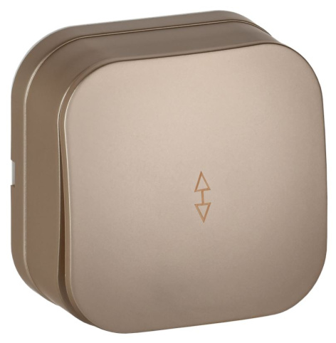 Изображение товара Переключатель одноклавишный IEK EVH12-K37M-10