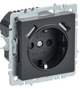 фото Розетка с заземлением IEK BR-R14-16-U21-D21-K46