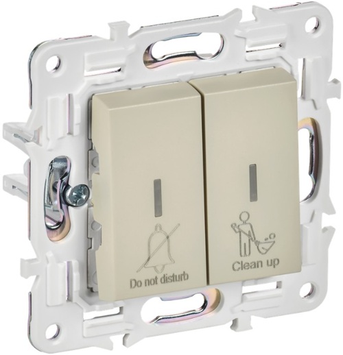 

Выключатель двухклавишный с подсветкой IEK SK-V20-2-10-K10 SKANDY для отелей 10А SK-V16B бежевый, SK-V20-2-10-K10