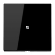 фото Вывод кабеля  Jung LS990ASW