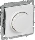 фото Светорегулятор  IEK BR-D20-0600-K91 в Санкт-Петербургe