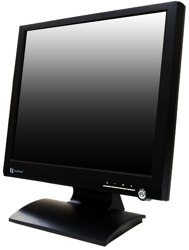 Монитор EverFocus FH-19LED