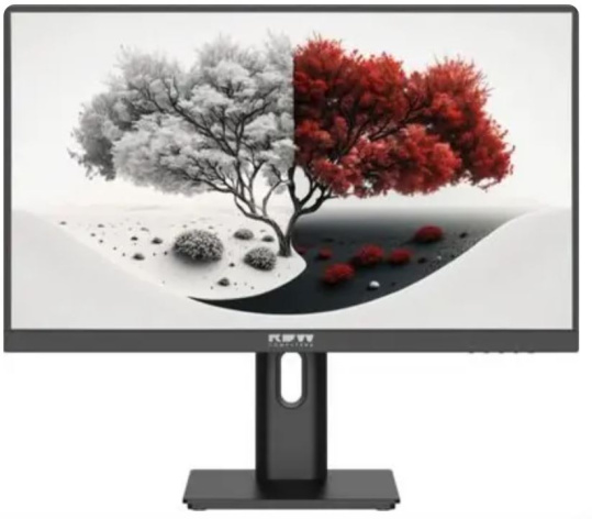 Изображение товара Монитор 23,8" RDW Computers RDW2401K