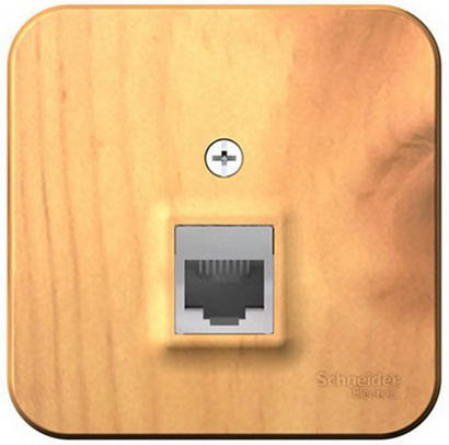 фото Розетка  Systeme Electric BLNIA011005 в Омске