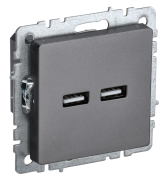 фото Розетка USB IEK BR-U21-D31-K46