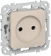 фото Розетка без заземления  IEK FI-R10-10-1-K88 в Санкт-Петербургe