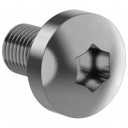 фото Винт IEK FO-00D-VTORX-M6X10-050
