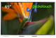 фото Интерактивная панель  Geckotouch Interactive 65SL в Смоленске